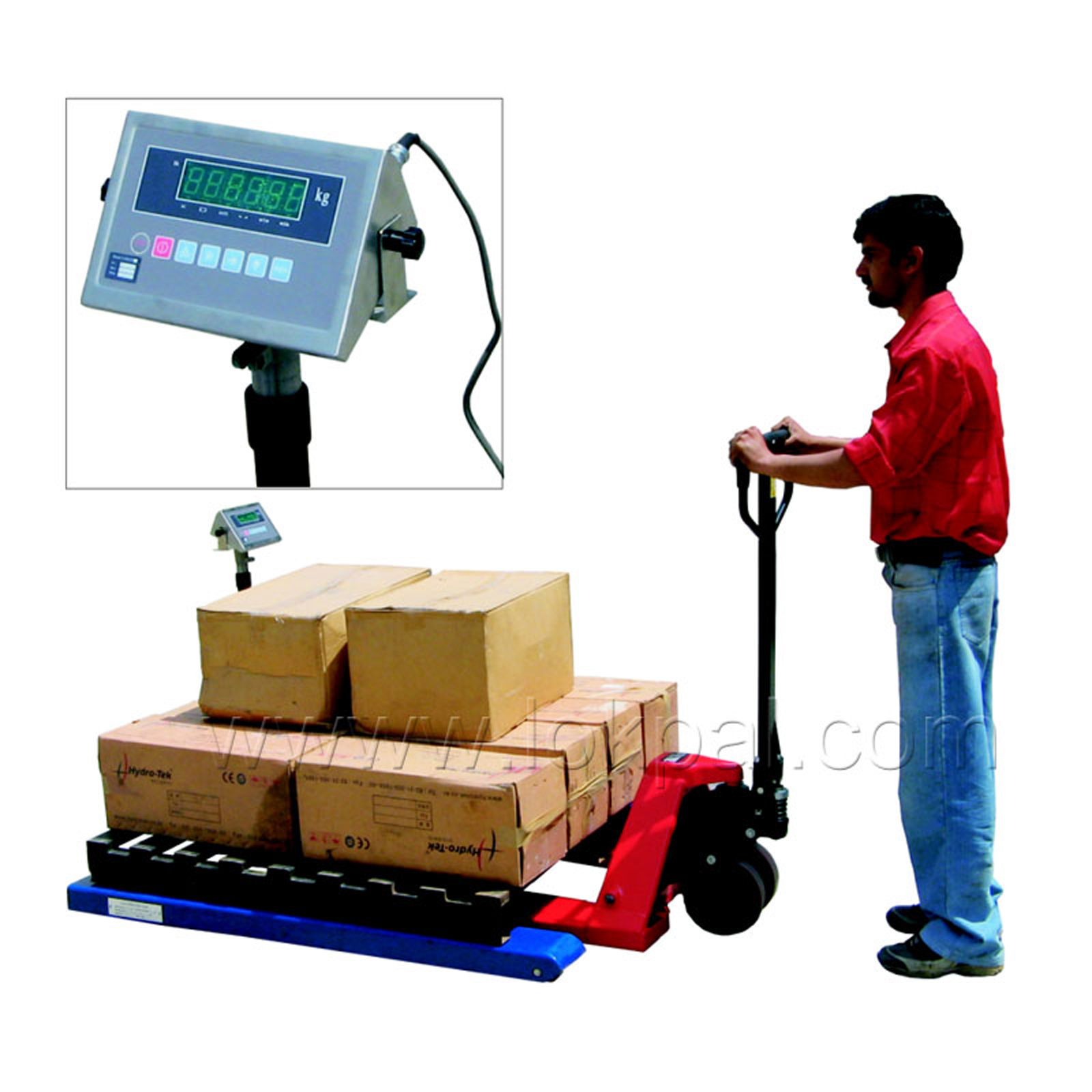 Pallet Weighing Scale, Pallet Weighing Scale Manufacturer, Weighing Scale Supplier, Weighing Scale Wholesaler, Drum Cart Dealers, Pallet Weighing Scale Supplier, Delhi NCR, Noida, India